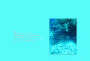 水深による色彩変化と、多層パララックスによる「浮遊感」の演出（アニメーション）のサムネイル画像