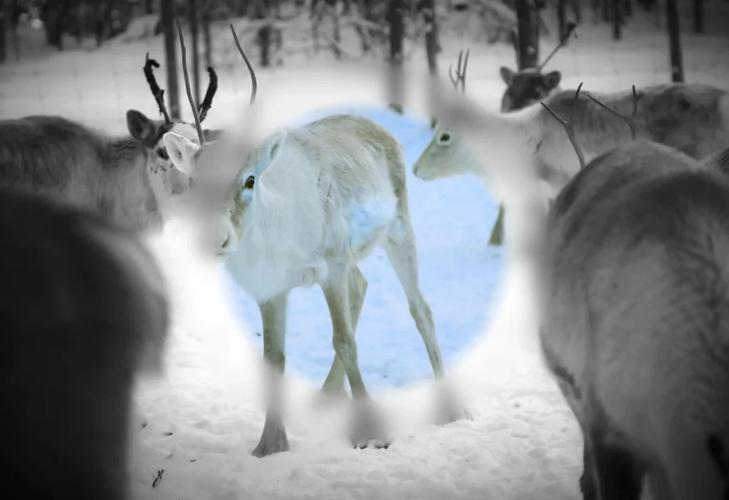 多層レイヤーとCSS Maskによる視覚的フォーカスの制御実装